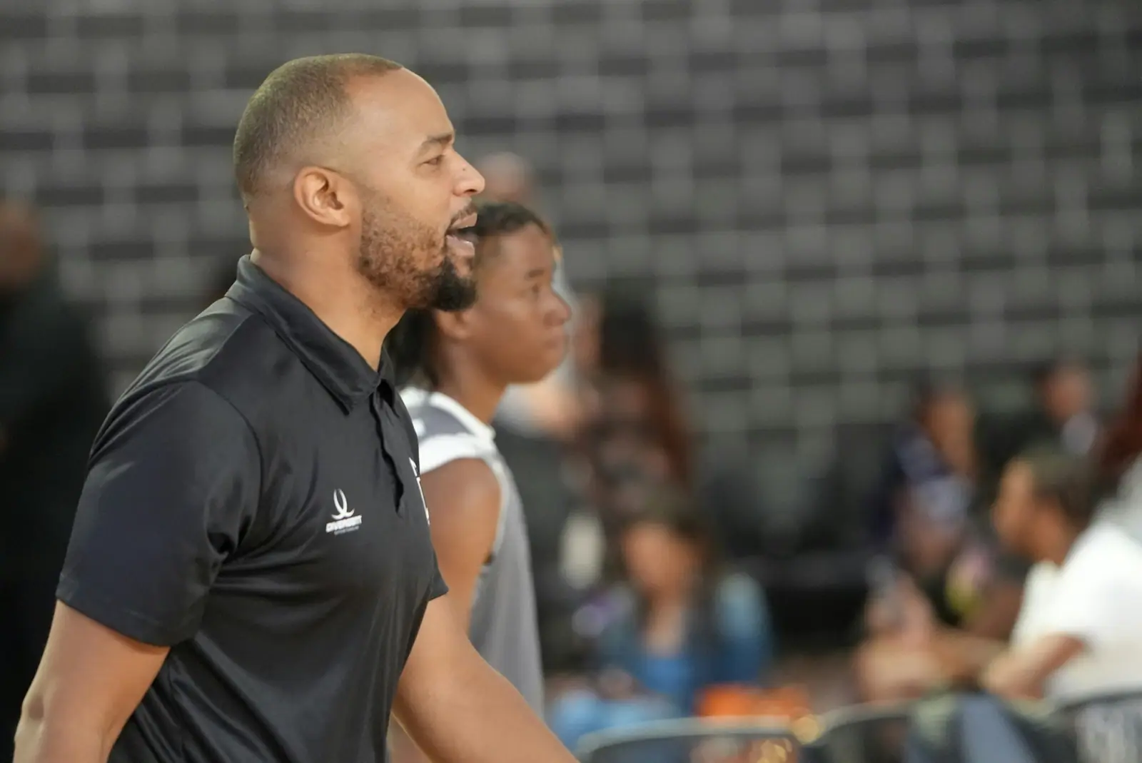 Webhosting für Coaches